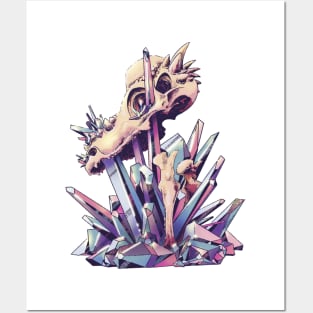 Pachy Crystals Posters and Art